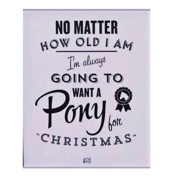 Meet your Posher, Laurie - Picture 1 of 1